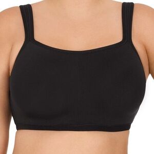 Natori High impact sports bra in 34DDD